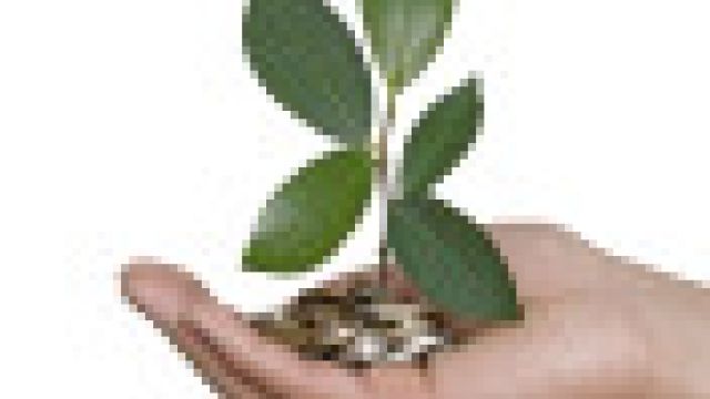 accademia di trading ultra trade